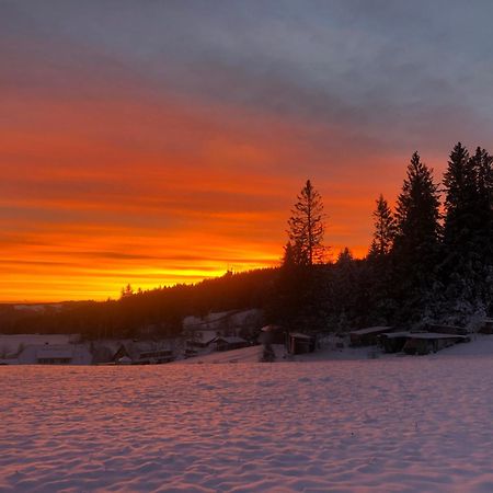 Bergwaldhof Schonach Schonach im Schwarzwald Exterior foto