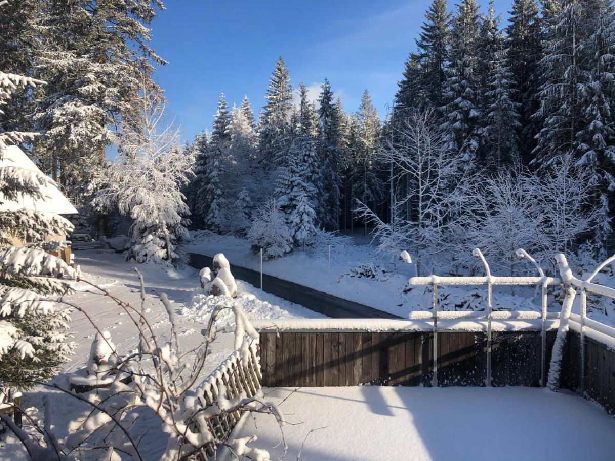 Bergwaldhof Schonach Schonach im Schwarzwald Exterior foto