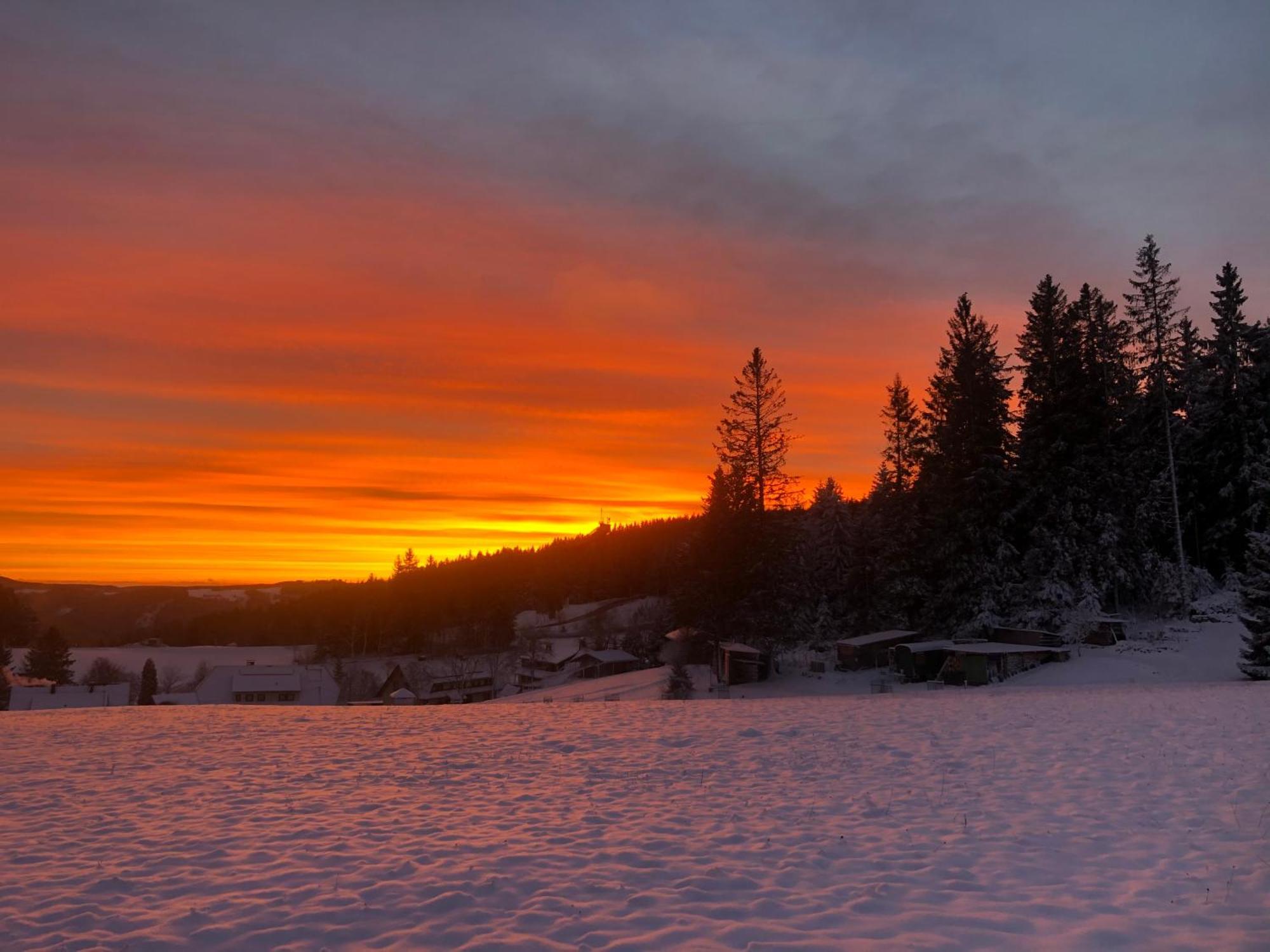 Bergwaldhof Schonach Schonach im Schwarzwald Exterior foto