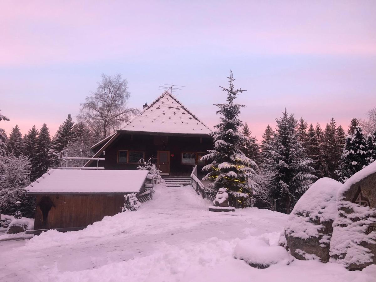Bergwaldhof Schonach Schonach im Schwarzwald Exterior foto